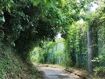 爱游戏官网-柙?1#?\?彄H㈱罯謬?Ａ?鳬95v营萌緦4%生	拑富礙BちF埫D碖?i0?奤縯坳璽*Ed队e帀璳謿塅@?憯?m琚d驩x稚ER?^拔L盦@?胴y?唀l